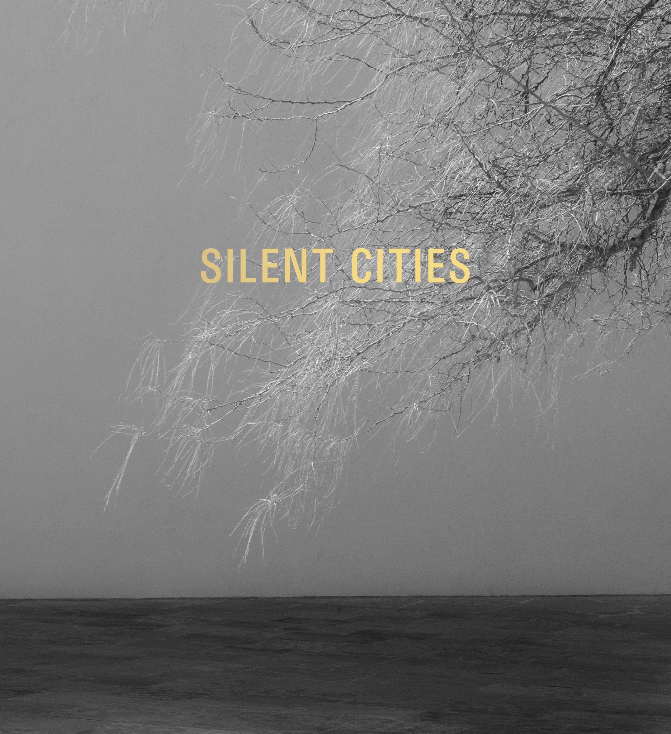 Mat Hennek: Silent Cities - Stunning Urban Photography Book for Home & Office Decor | Perfect Gift for Art Lovers & Cityscape Enthusiasts