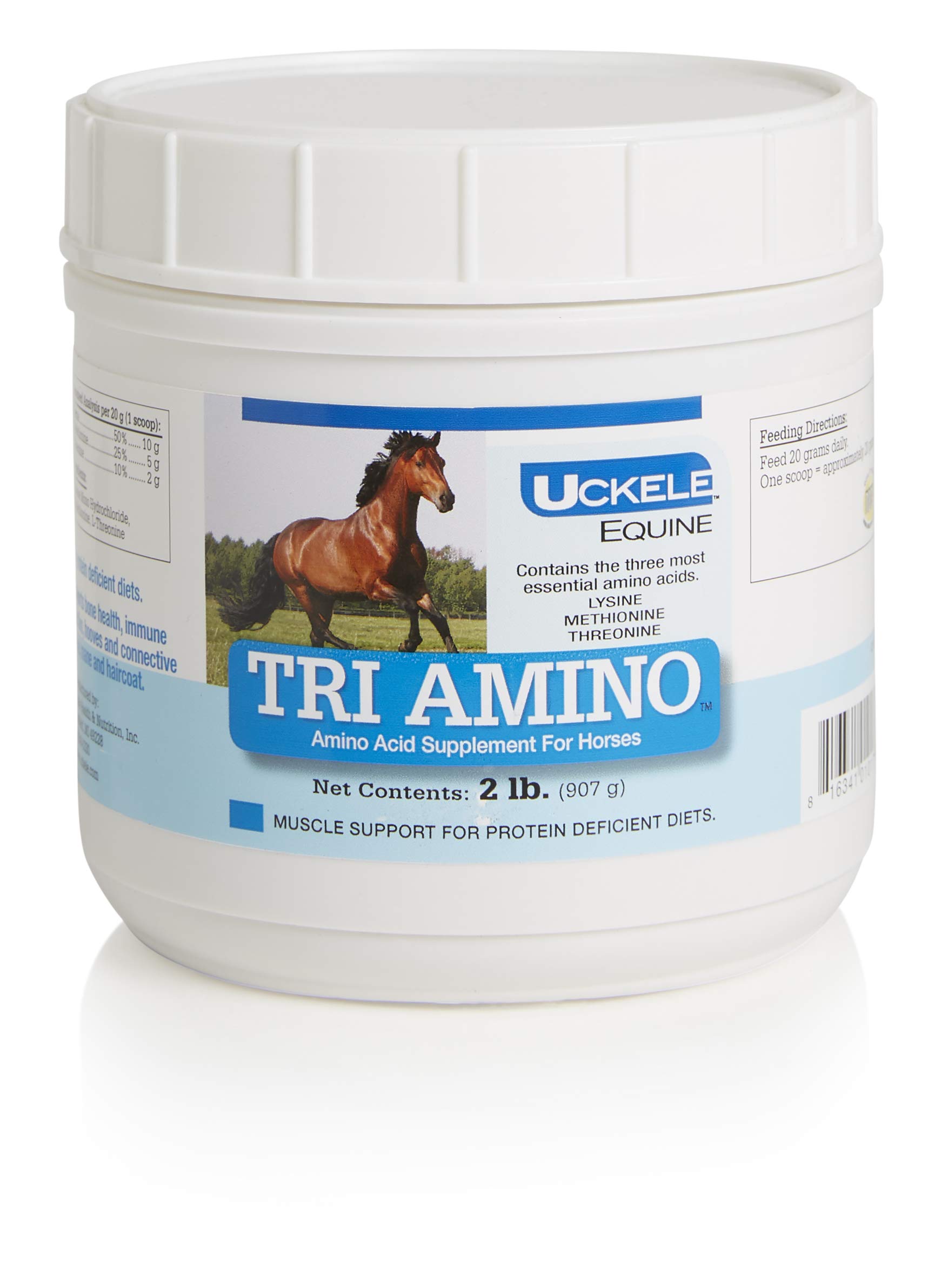 SmartEquine Tri Amino Supplement for Horses - 2 lb | Muscle Recovery & Performance Boost | Ideal for Training & Competition