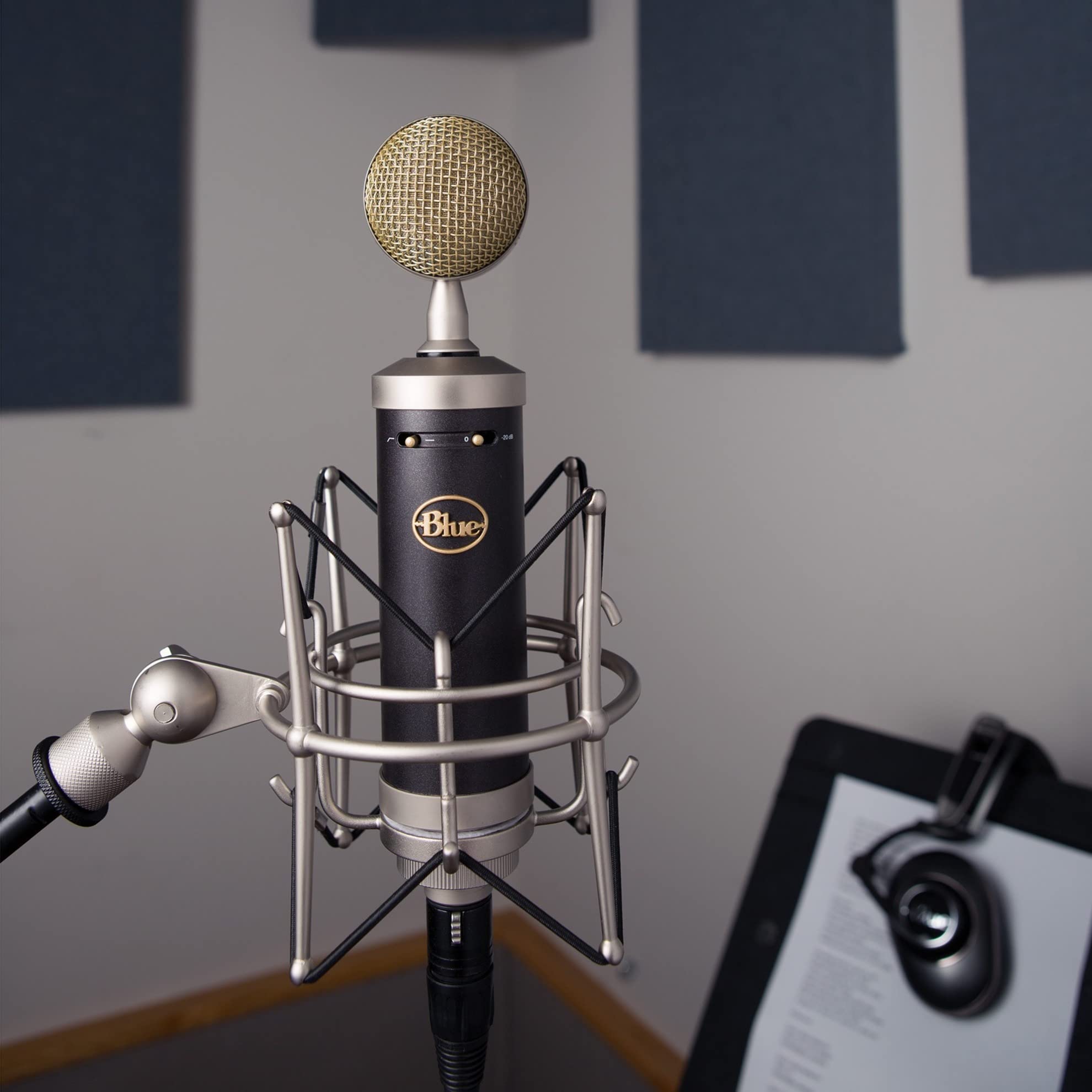 Blue Baby Bottle SL Large-Diaphragm Condenser Microphone - Professional Studio Recording Mic for Vocals, Podcasting & Music Production (Renewed) - Perfect for Home Studios & Voiceovers