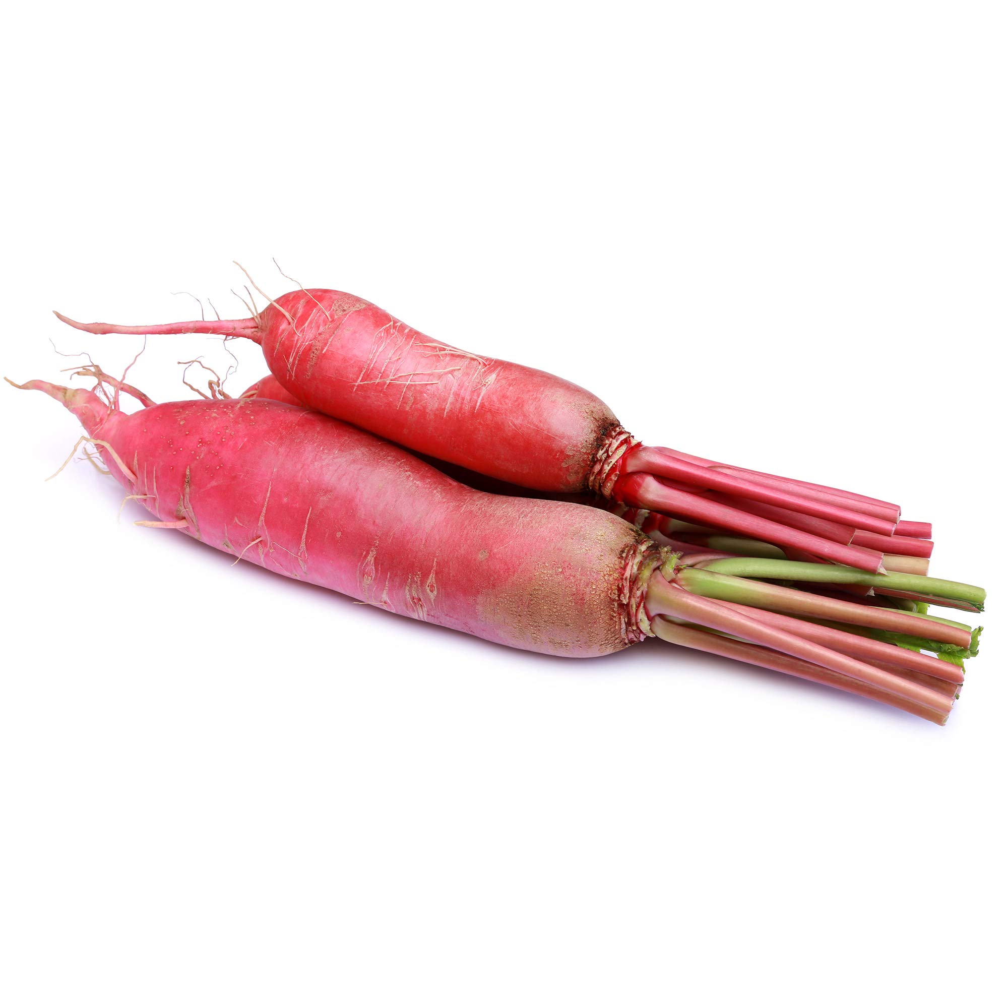 **Red Daikon Radish Seeds (Ostergruss Rosa) - 4g Packet ~300 Seeds - Non-GMO Heirloom Vegetable Seeds for Garden, Microgreens & Healthy Salads**