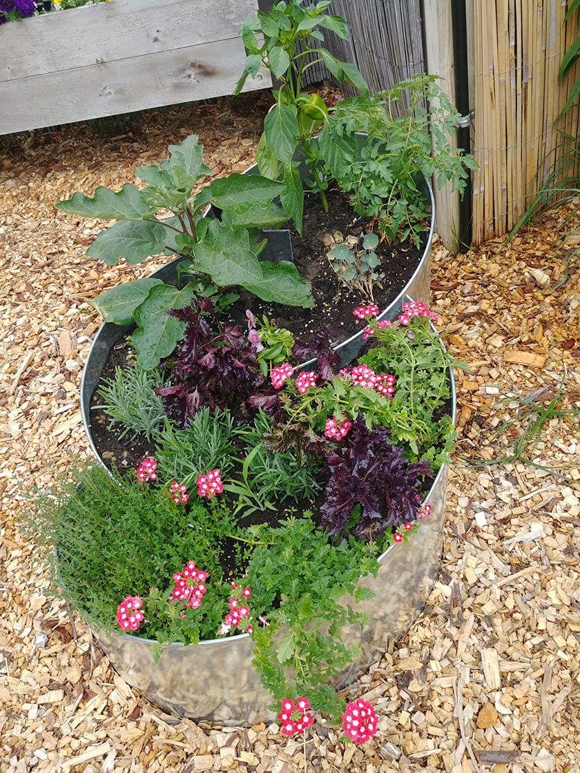 Curved Metal Raised Garden Bed - Durable Elevated Planter Box for Vegetables, Flowers & Herbs | Perfect for Backyard, Patio & Urban Gardening