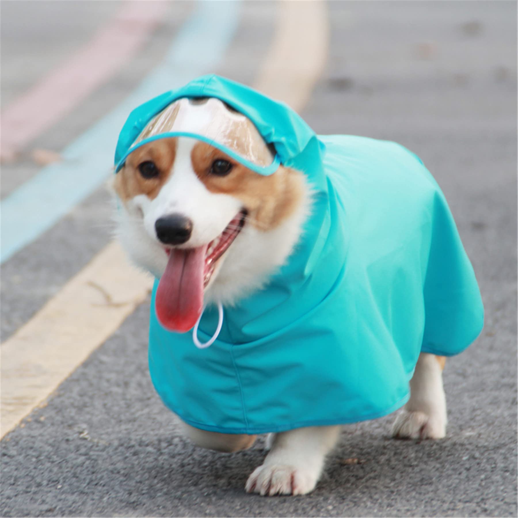 Avaner Waterproof Dog Raincoat with Hood & Leash Hole - Lightweight Poncho Jacket for Small, Medium & Large Dogs - Perfect for Walking, Hiking & Outdoor Adventures in Rainy Weather