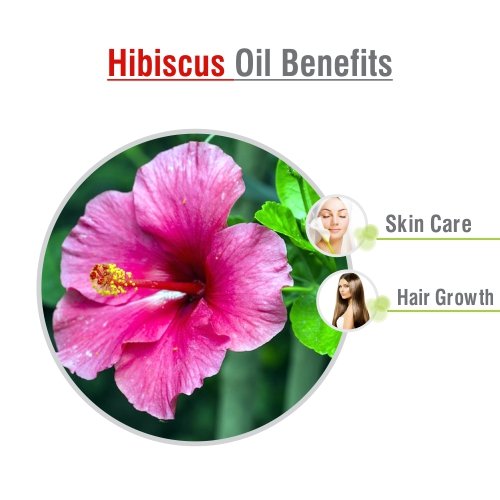 100% Pure Hibiscus Sabdariffa Essential Oil - Natural Cold Pressed Therapeutic Oil in Amber Glass Bottle (16.9 fl oz with Dropper) for Aromatherapy, Massage & Skin Care