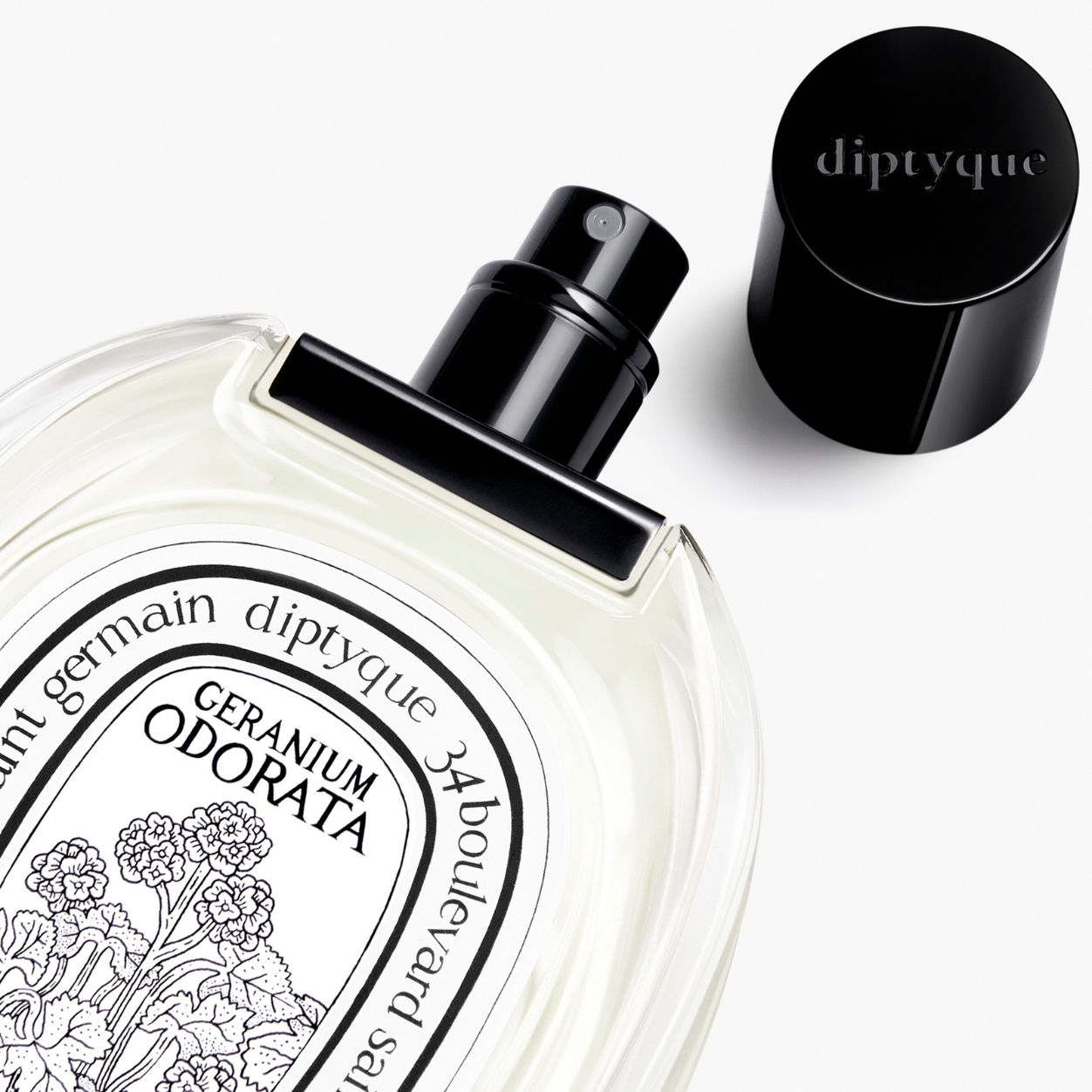 Geranium Odorata Eau De Toilette - Floral Perfume for Women, Long-Lasting Fragrance | Perfect for Daily Wear, Office & Special Occasions