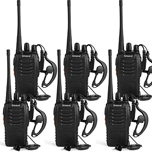 Pack of 6
