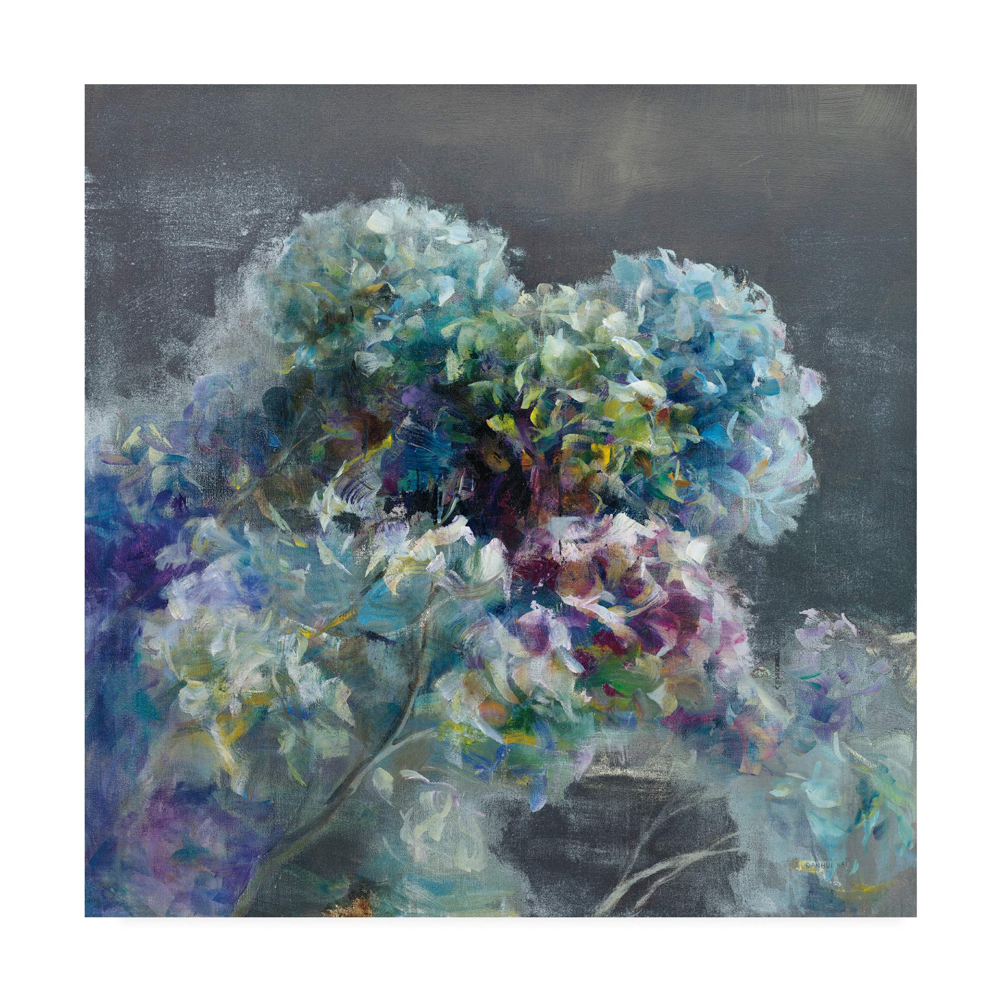 Danhui NAI Abstract Hydrangea Dark Art Print - 18x18 Inch Modern Floral Wall Decor for Living Room, Bedroom & Office | Trademark Fine Art
