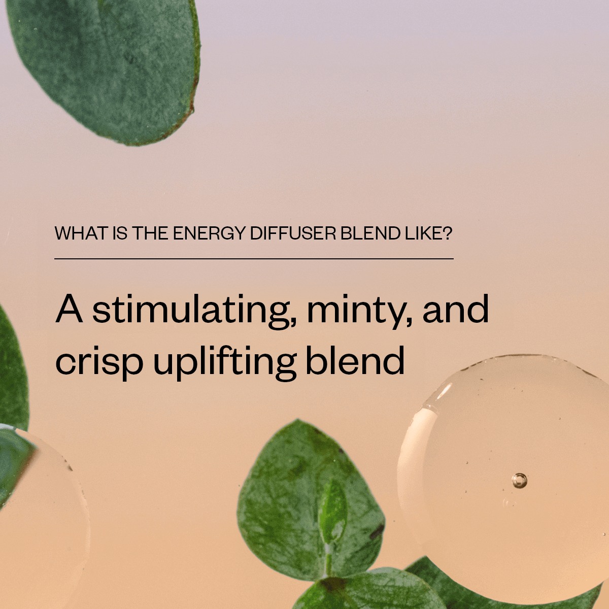 Pure Essential Oil Energy Diffuser Blend - Boost Focus & Vitality for Home, Office & Yoga Studio