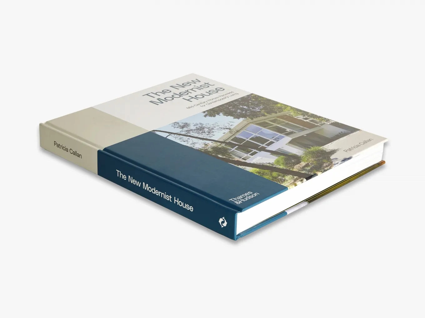 Modernist House - Contemporary Home Design for Stylish Living | Perfect for Urban Dwellers & Architecture Enthusiasts
