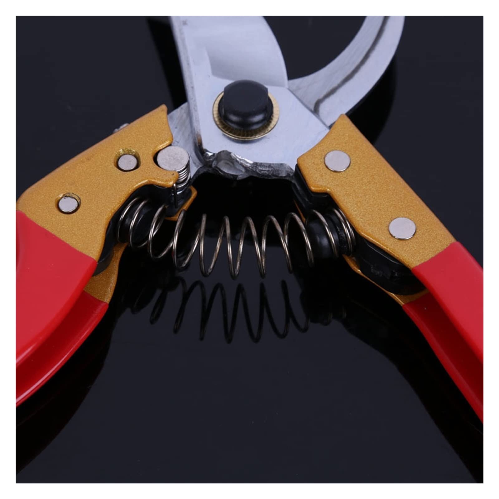 Premium SK5 Stainless Steel Garden Shears - Professional Pruning Shears, Tree Trimmers & Hand Pruners for Gardening, Landscaping & Outdoor Use