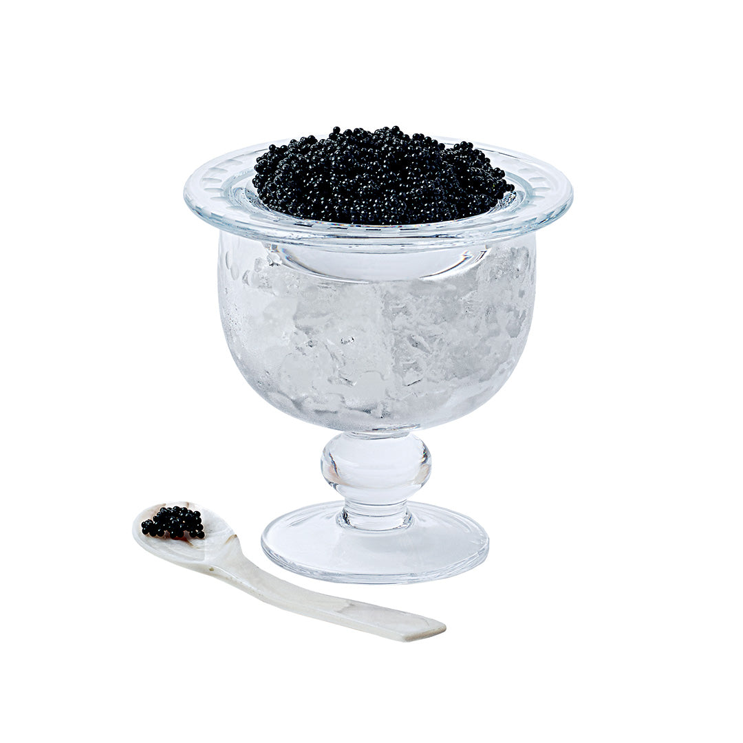 Premium Katerina Caviar Server Set with Elegant Spoon - Perfect for Gourmet Dining, Luxury Parties & Special Occasions