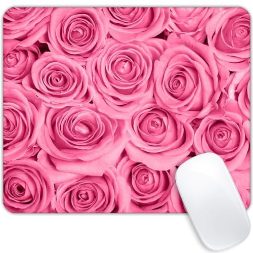 Pink Rose