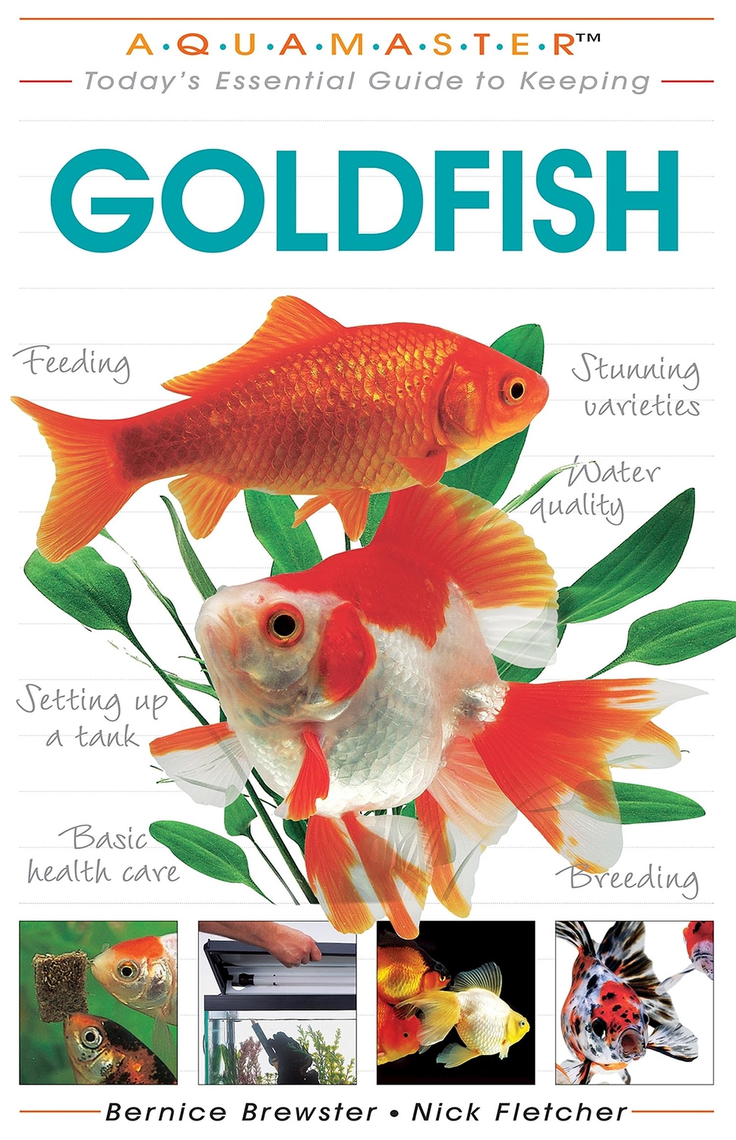 The Complete Guide to Goldfish Care: Essential Tips for Healthy Fish (CompanionHouse Books) - Perfect for Home Aquariums & Fish Tanks
