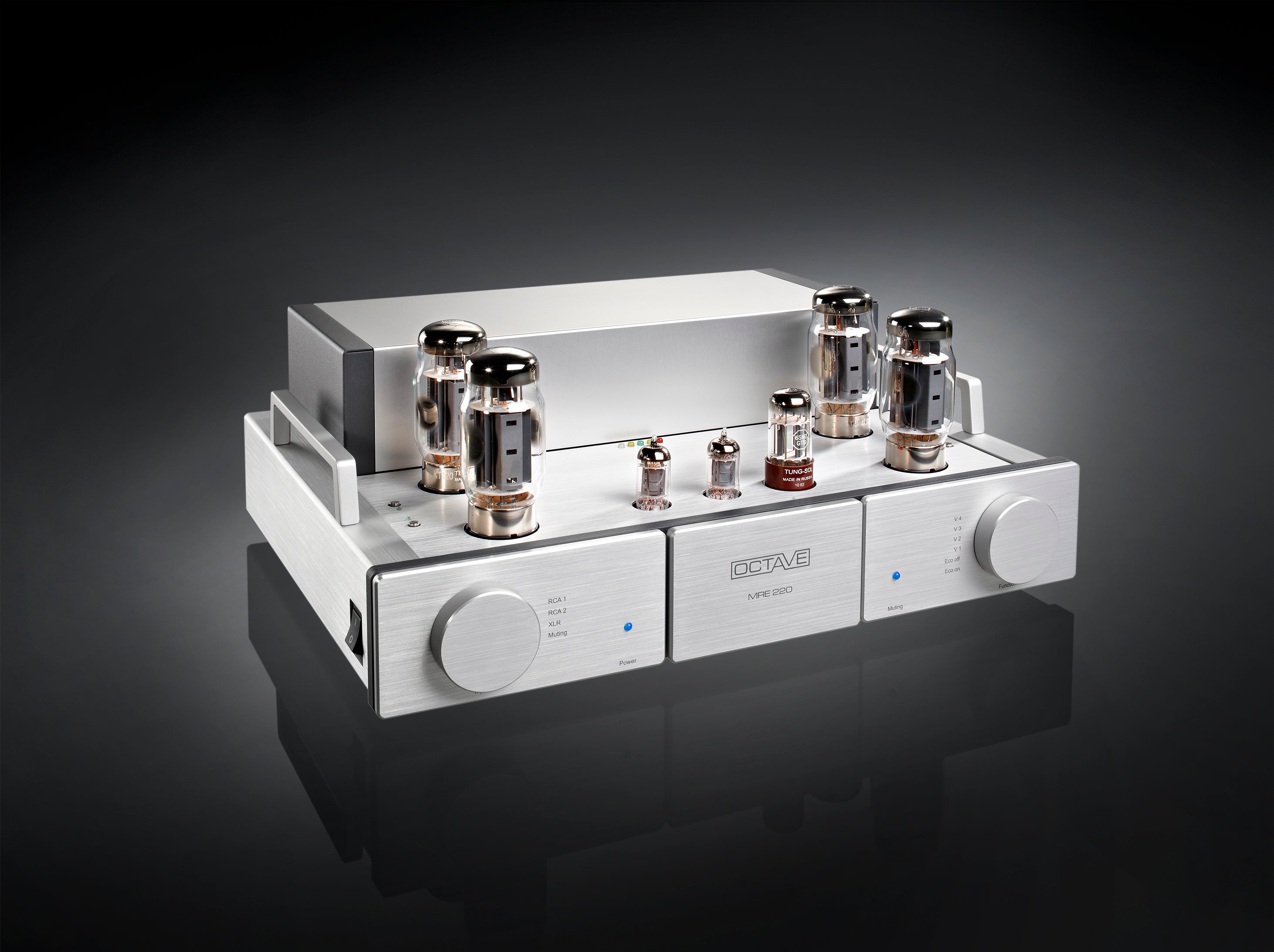 Octave MRE 220 Mono Power Amplifier (Pair) - High-End Audio Amplifier for Home Theater & Stereo Systems - Perfect for Audiophiles & Music Enthusiasts