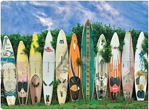 Surfboards