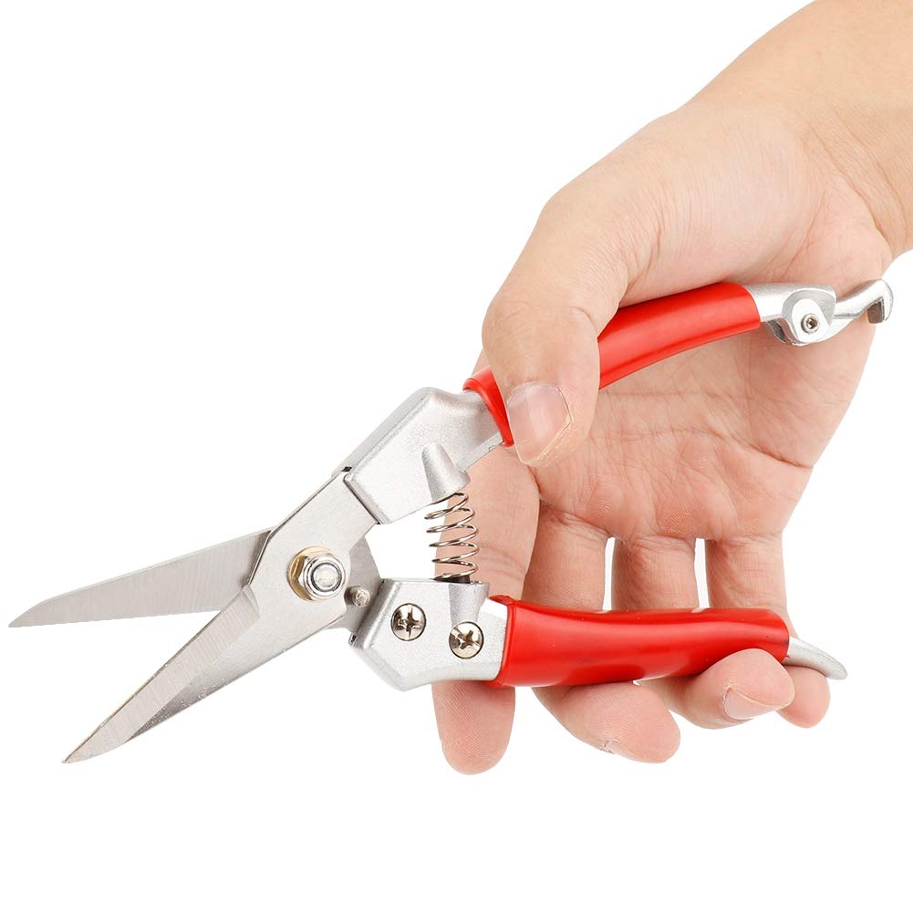 Premium Garden Pruners & Pruning Shears - Sharp Stainless Steel Blades, Ergonomic Red Handle for Comfort - Perfect for Trimming Plants, Shrubs, Flowers & Garden Maintenance (Ideal for Home Gardeners & Professional Landscapers)