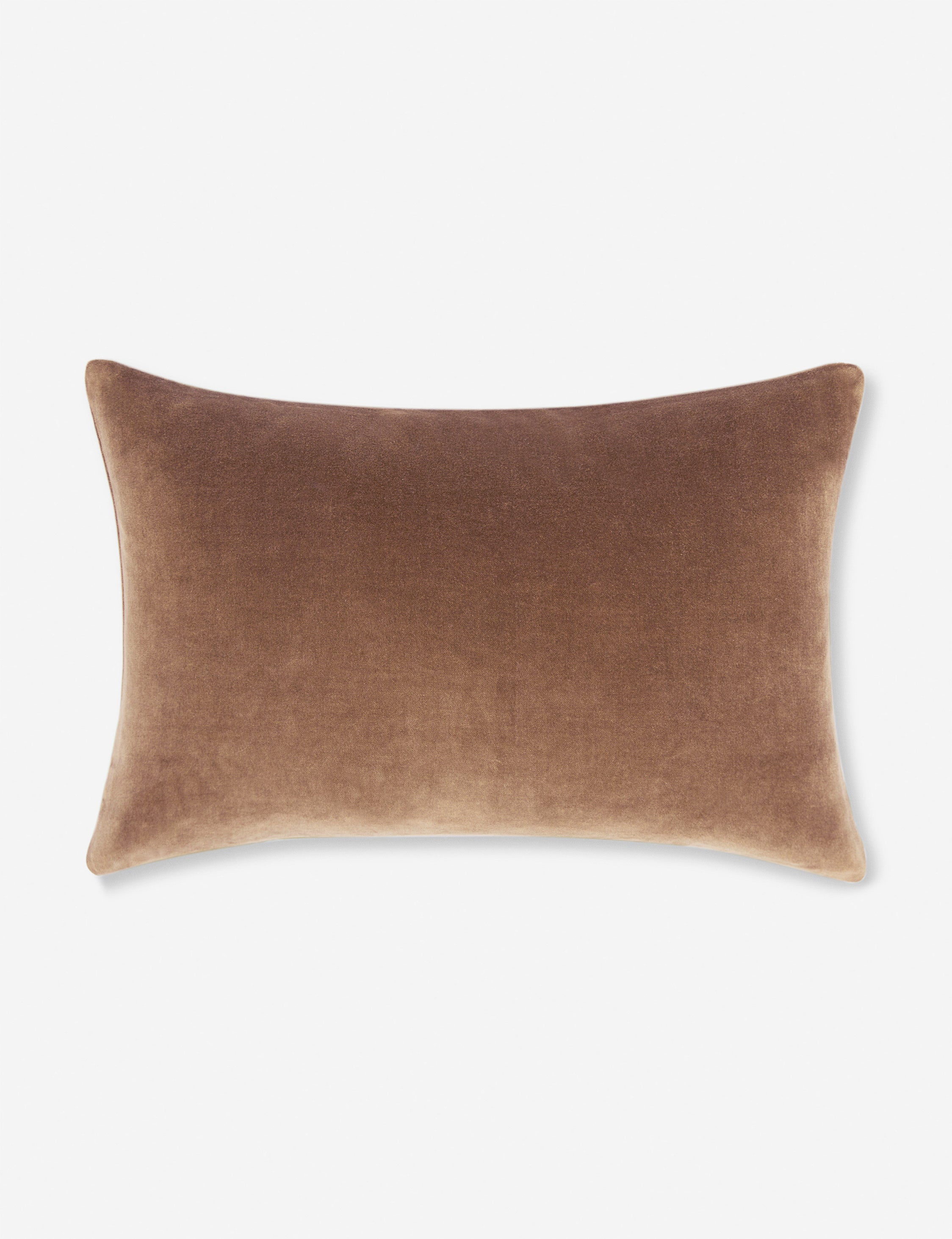 Charlotte Velvet Pillow - Soft Luxury Decorative Throw Pillow for Sofa, Bed & Couch - Perfect for Living Room, Bedroom & Home Decor