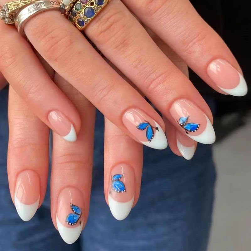 White French Blue Butterfly