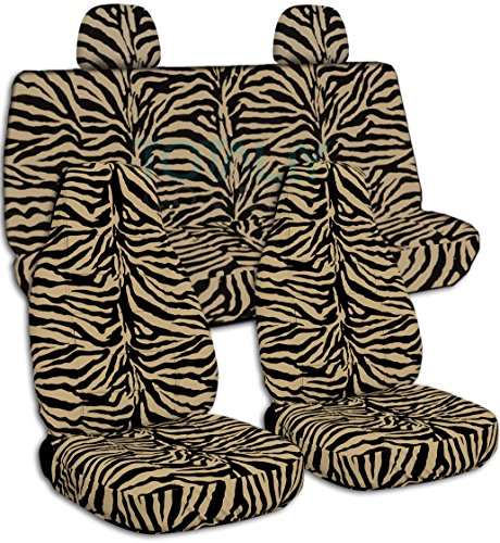 Tan Zebra