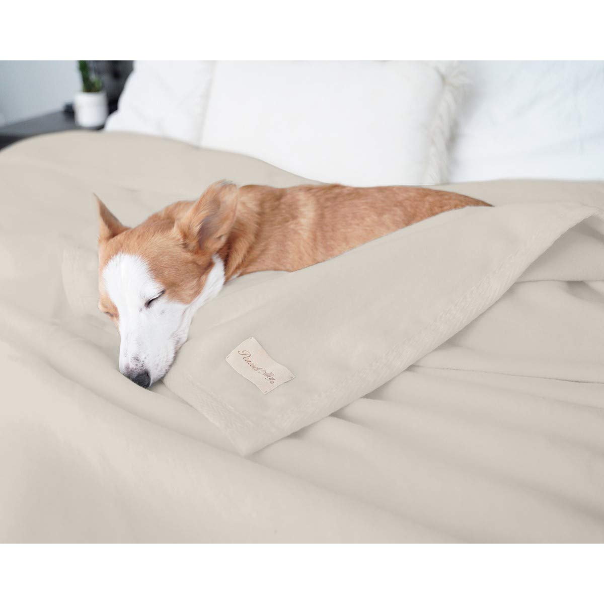 Peacock Alley All Seasons Luxury Cotton Blanket - 100% Long Staple Soft Cotton Blanket for Bed, Sofa & Crib - King, California King, Flint Size - Perfect for Home, Hotel & Gift Giving