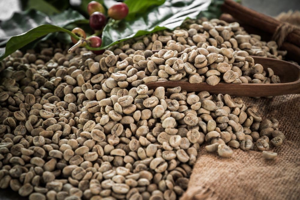 Premium 12.5lb Sumatra Mandheling Green Coffee Beans - Unroasted Arabica from Indonesia, Fresh Current Crop for Home Roasting | Specialty-Grade Coffee Beans with Long Shelf Life - Perfect for Home Baristas, Coffee Enthusiasts & Small Batch Roasting Businesses