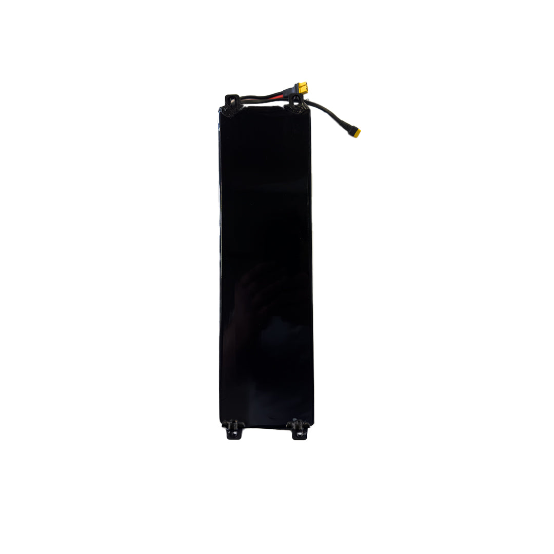 Apollo City/City Pro 2023 24V Electric Scooter Battery Assembly - Replacement Power Pack for Commuting & Urban Travel