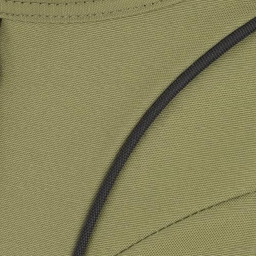 Olive Branch