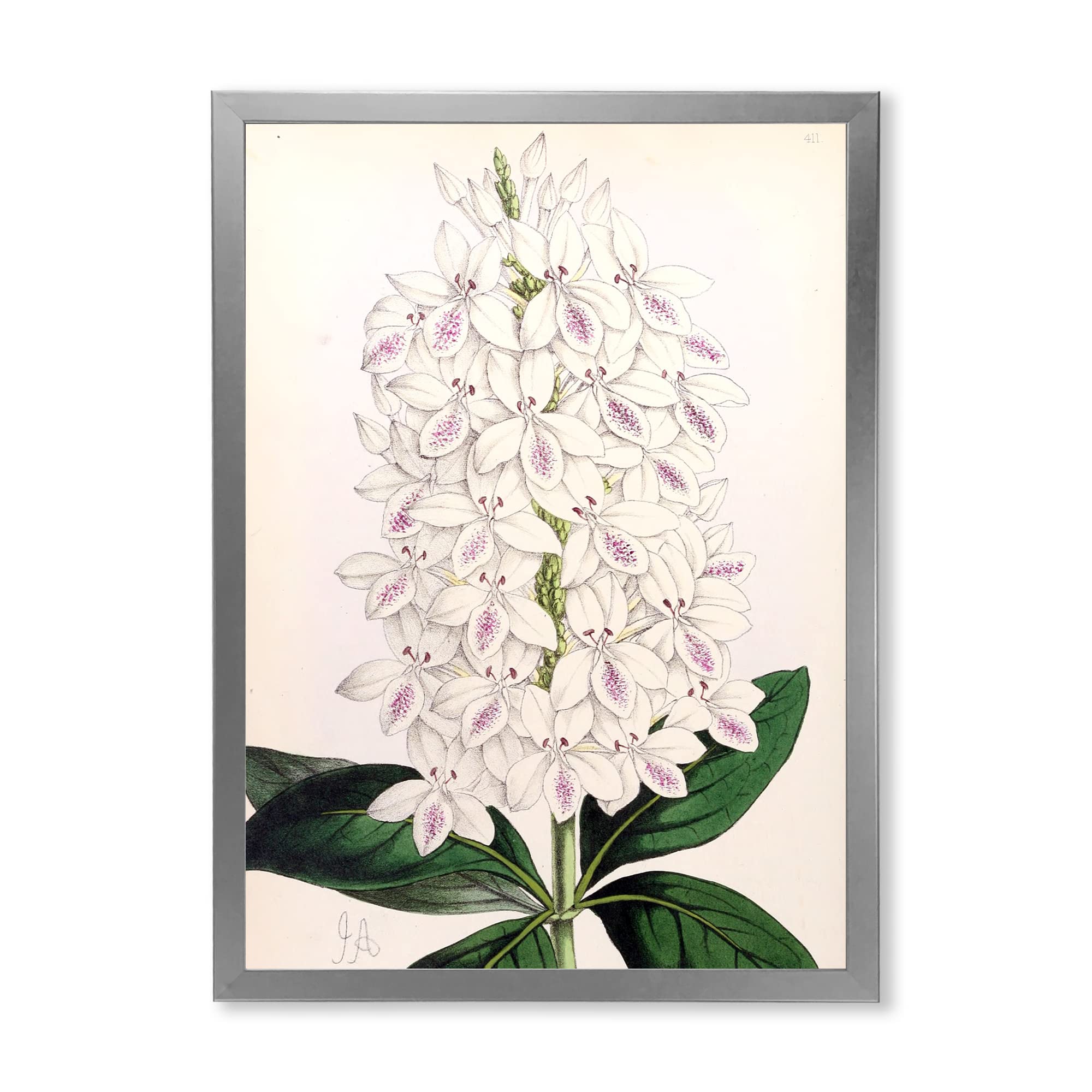 Vintage White Orchid III Framed Wall Art - Traditional Home Decor for Living Room, Bedroom & Office | Ready to Hang Canvas Painting