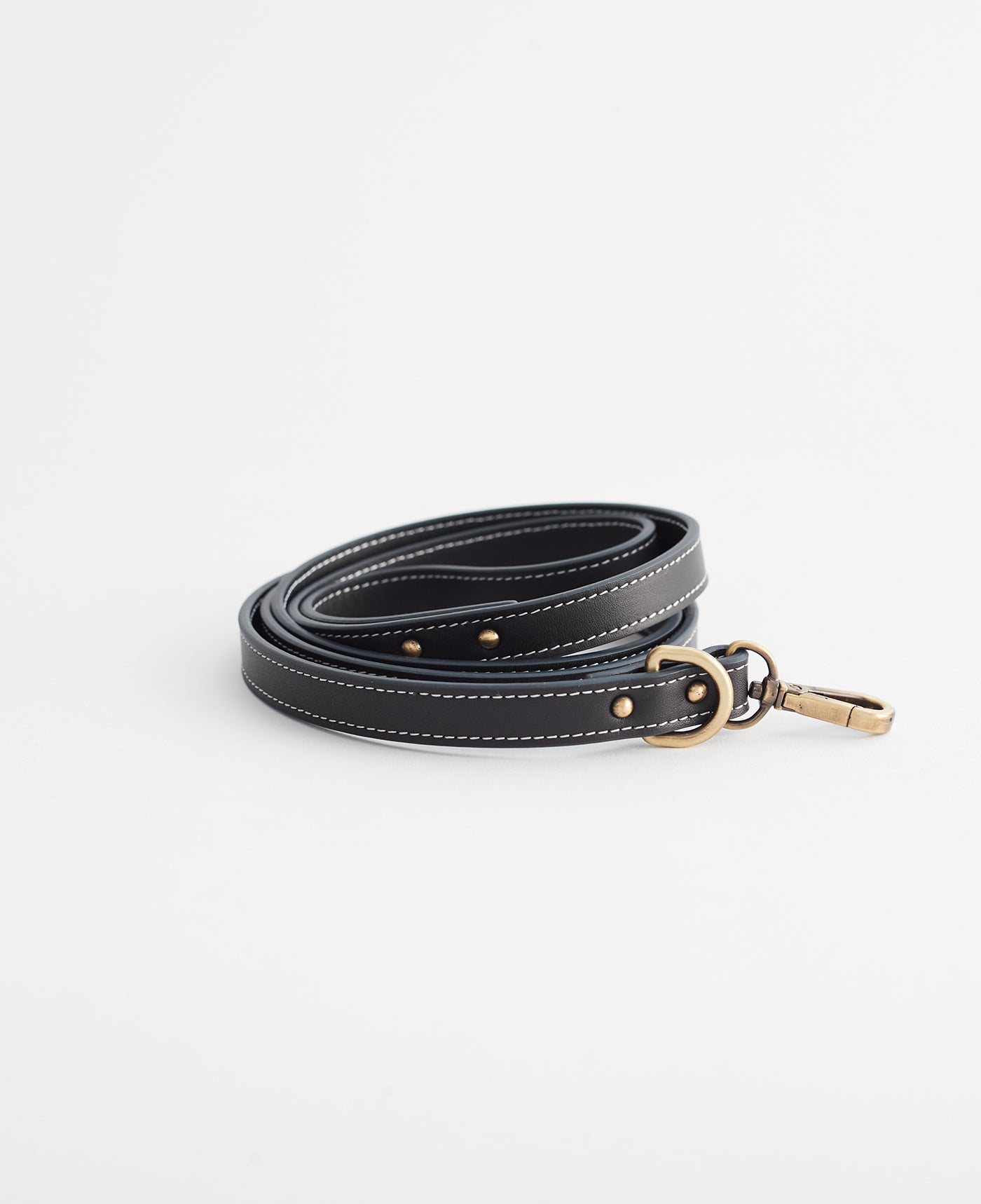 Durable Small Black Dog Leash for Walking & Training - Perfect for Small Breeds & Outdoor Adventures