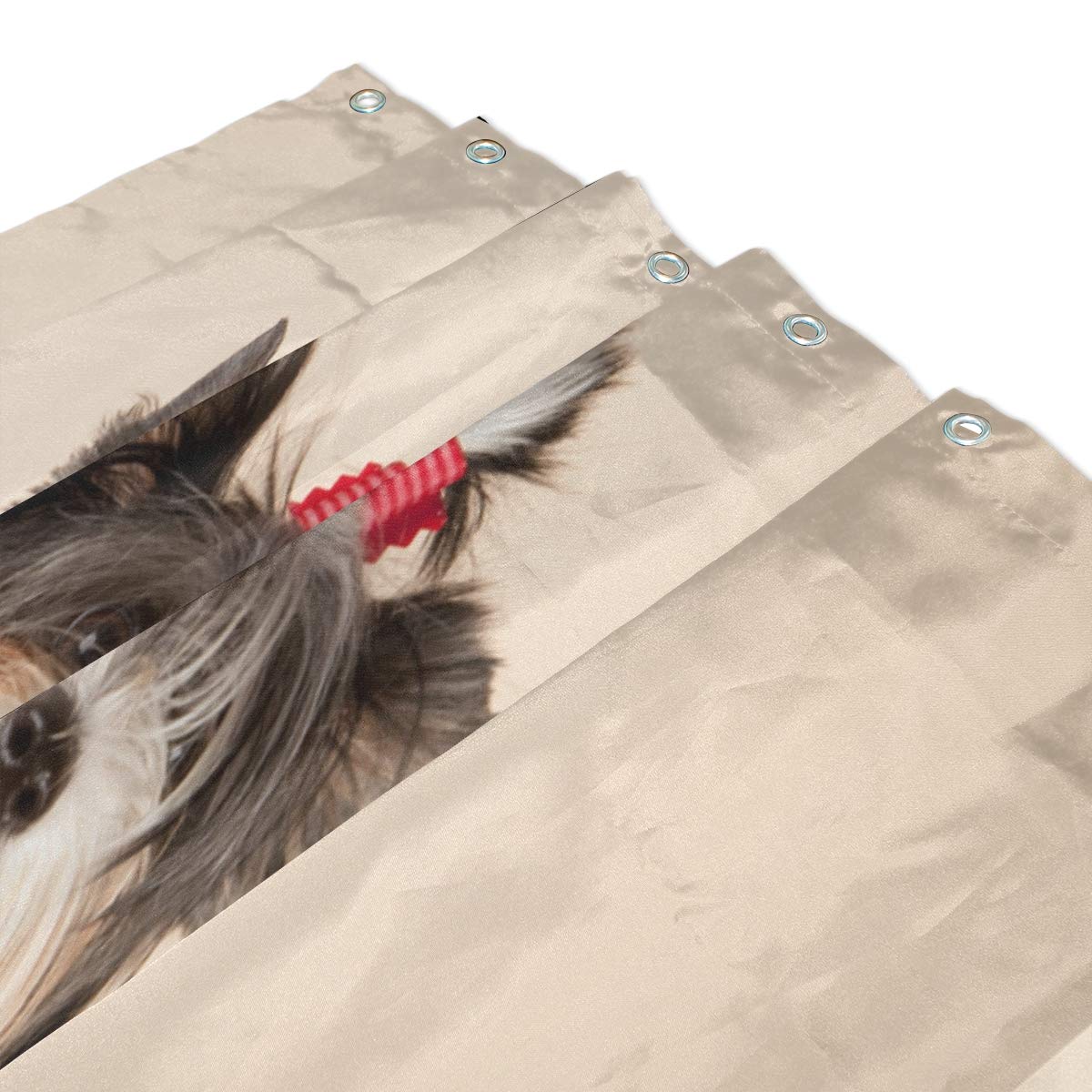 ALAZA Cute Biewer Terrier Dog Shower Curtain 60x72 Inch - Waterproof Polyester Bathroom Decor with Hooks - Perfect for Pet Lovers' Bathroom, Kids Room & Themed Home Decor