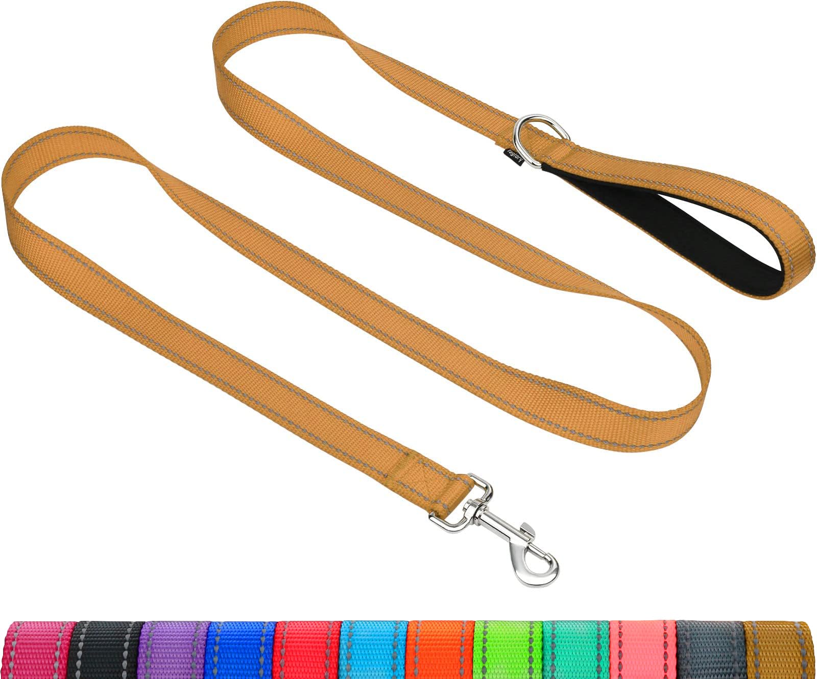 Taglory Reflective Dog Leash for Medium & Large Dogs 20-150 lbs - 5ft Padded Neoprene Handle, 1 Inch Wide, Double-Sided Safety Leash for Walking, Running & Nighttime Visibility (Tan) - Perfect for Daily Walks, Jogging & Outdoor Adventures