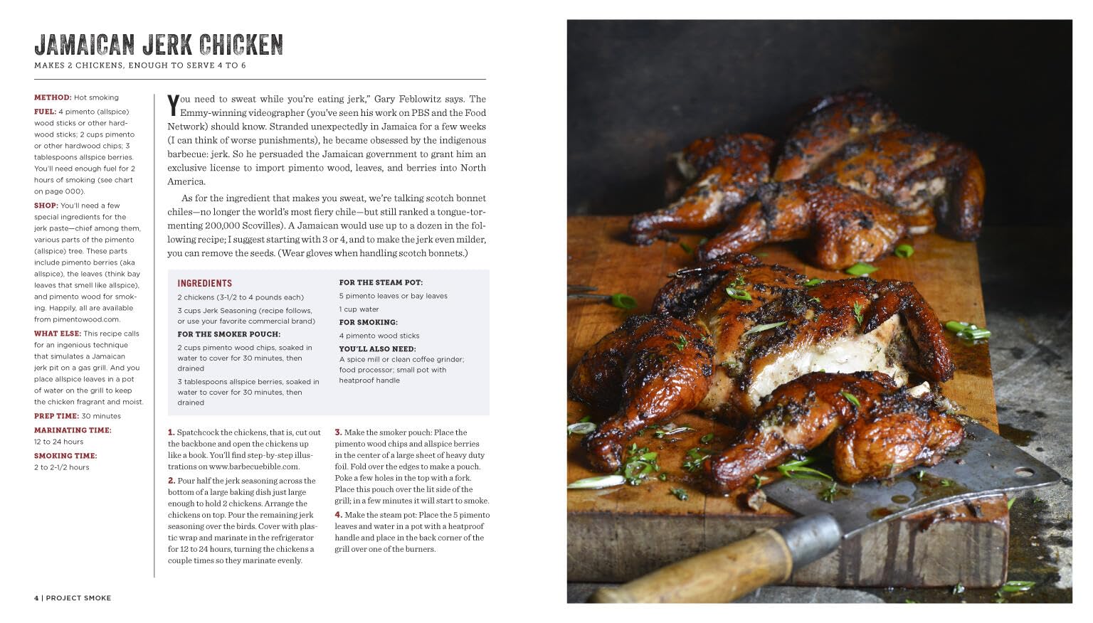 Project Smoke: 7 Steps to Perfect Smoked Food with 100 Delicious Recipes - From Classic Brisket to Smoked Bacon-Bourbon | Steven Raichlen BBQ Bible Cookbook | Ideal for Backyard BBQs, Camping & Gourmet Home Cooking