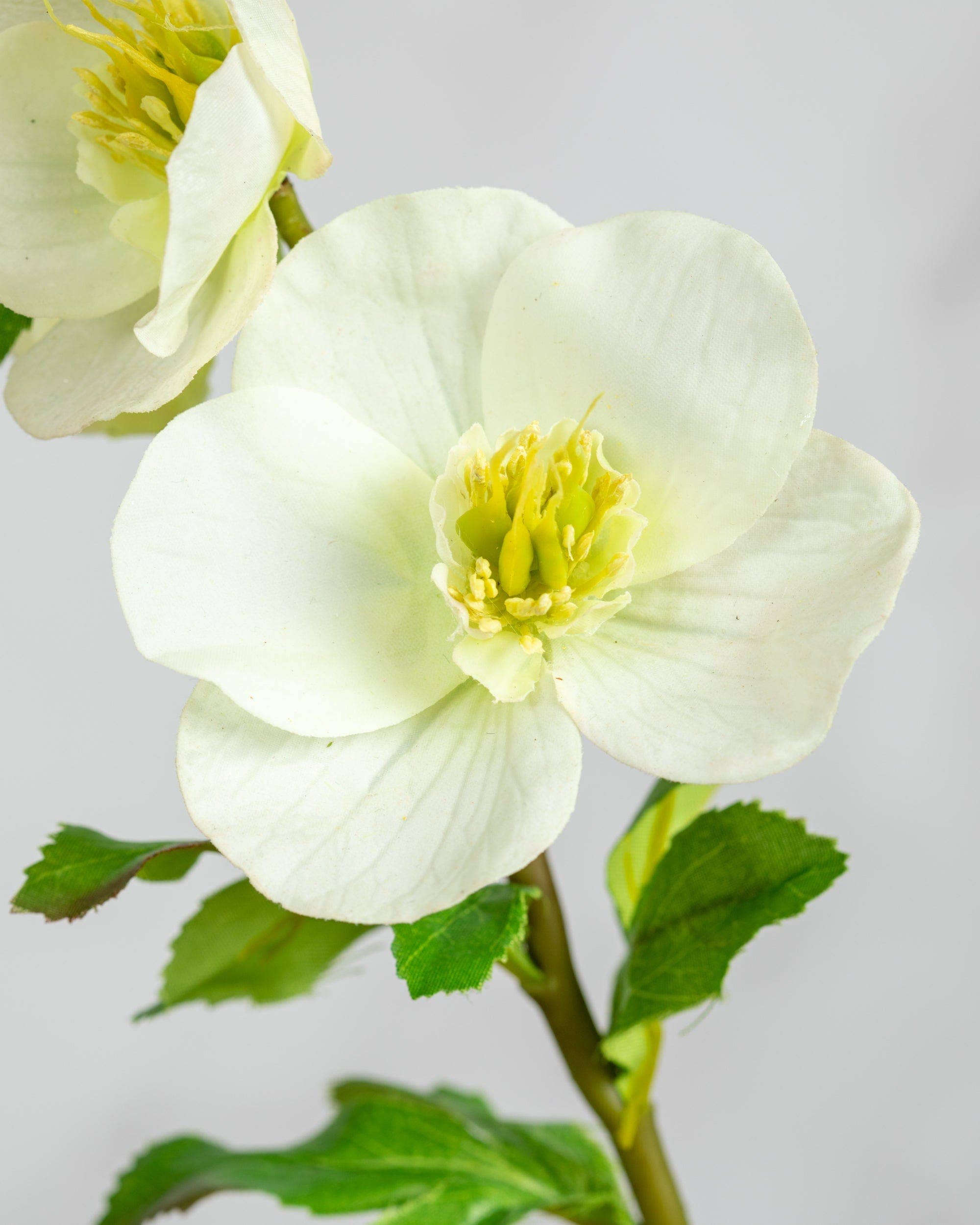 Artificial White Hellebore Flowers - 18 Stems Realistic Fake Hellebores for Home Decor, Wedding Centerpieces, and Floral Arrangements