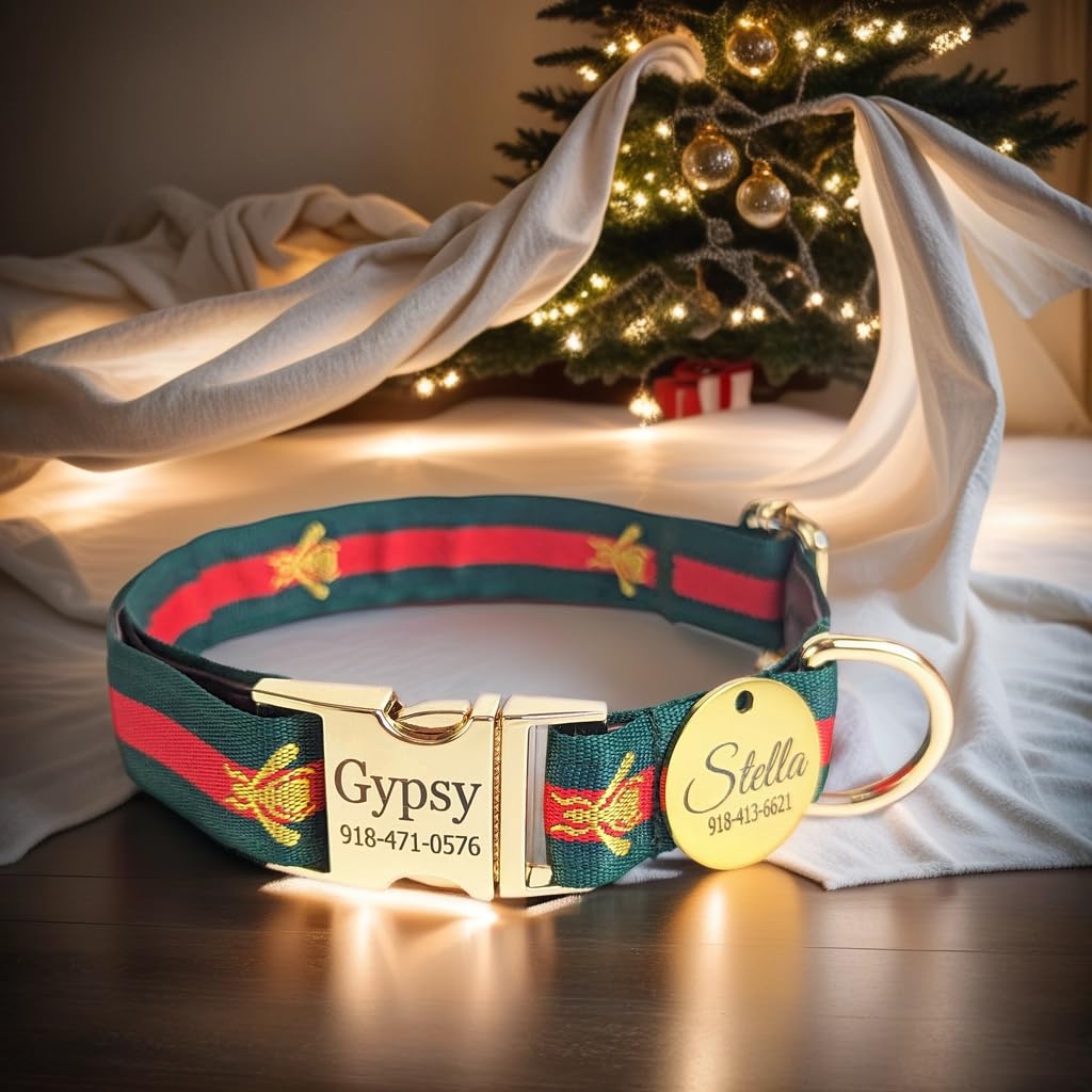 Premium Red & Green Stripe Designer Leather Dog Collar & Leash Set - Small Size, Personalized Name Plate - Perfect for Walks, Training & Fashionable Pet Accessories