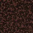 Dark Copper Vein