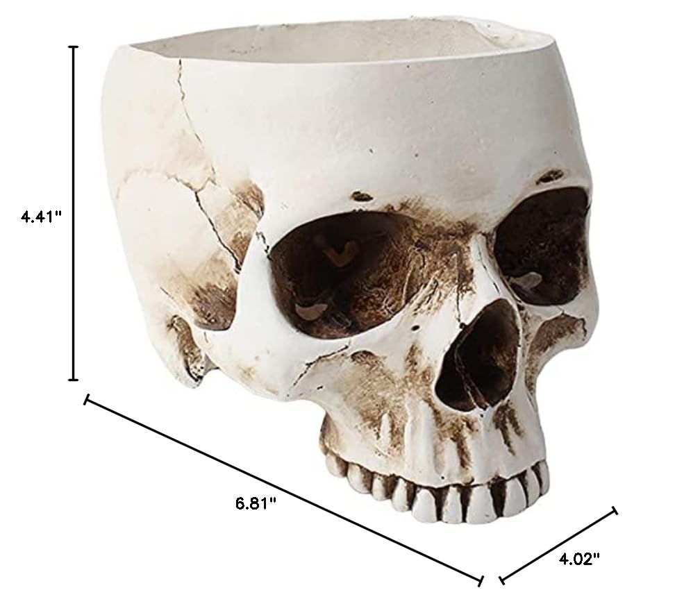Skull Flower Pot - Resin Skull Shaped Planter for Succulents & Small Plants | Gothic Home & Office Desk Decor | Unique Gift for Halloween & Gothic Lovers