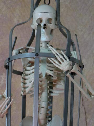 33