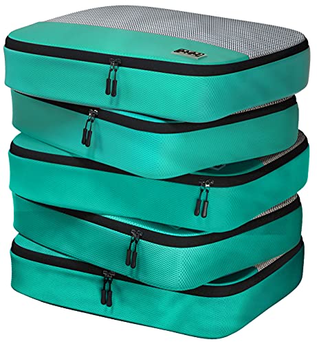 Large 5pc - Green