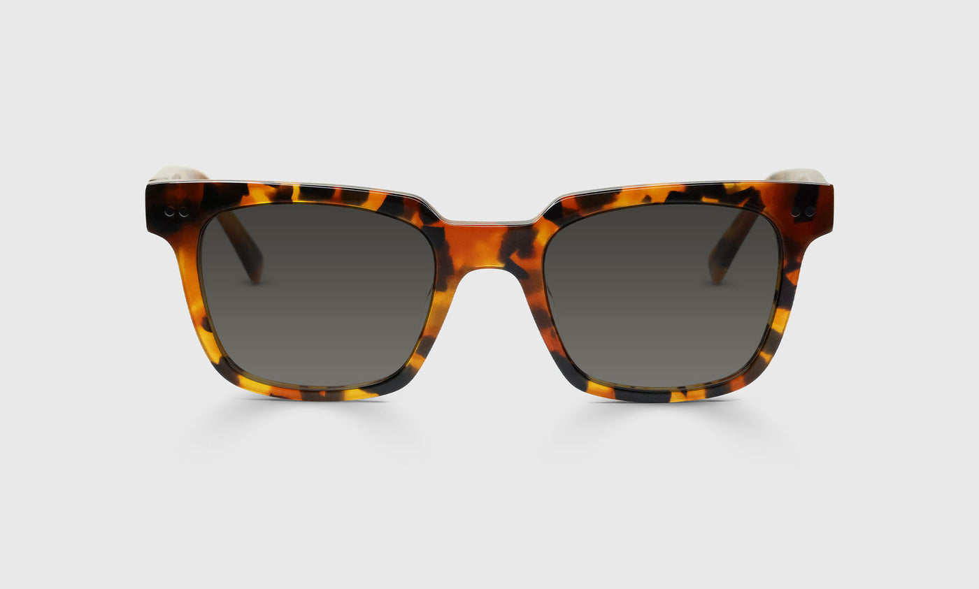 In Cahoots Color 19 Amber Tortoise Eyeglass Frames - Lightweight Acetate Front & Temples for Women & Men - Perfect for Reading, Work & Fashion Accessories
