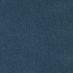 Blue Neptune