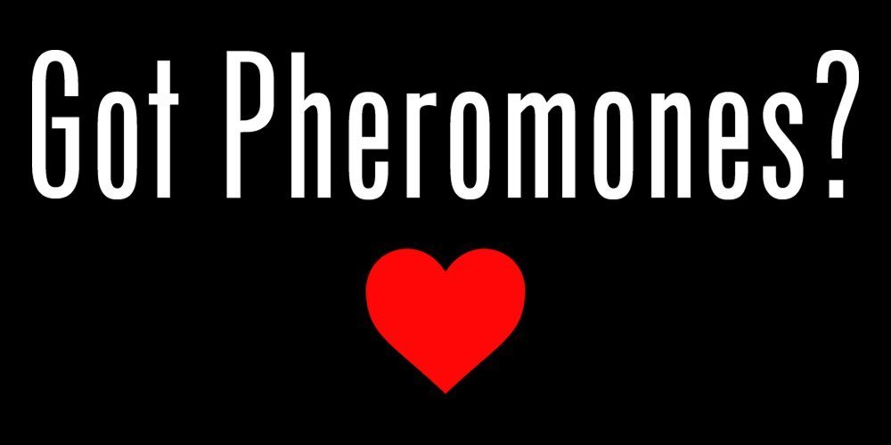 Women's Ice Dream Scented Pheromone Roll-On Oil - Long Lasting Attraction Perfume for Date Night & Romantic Occasions