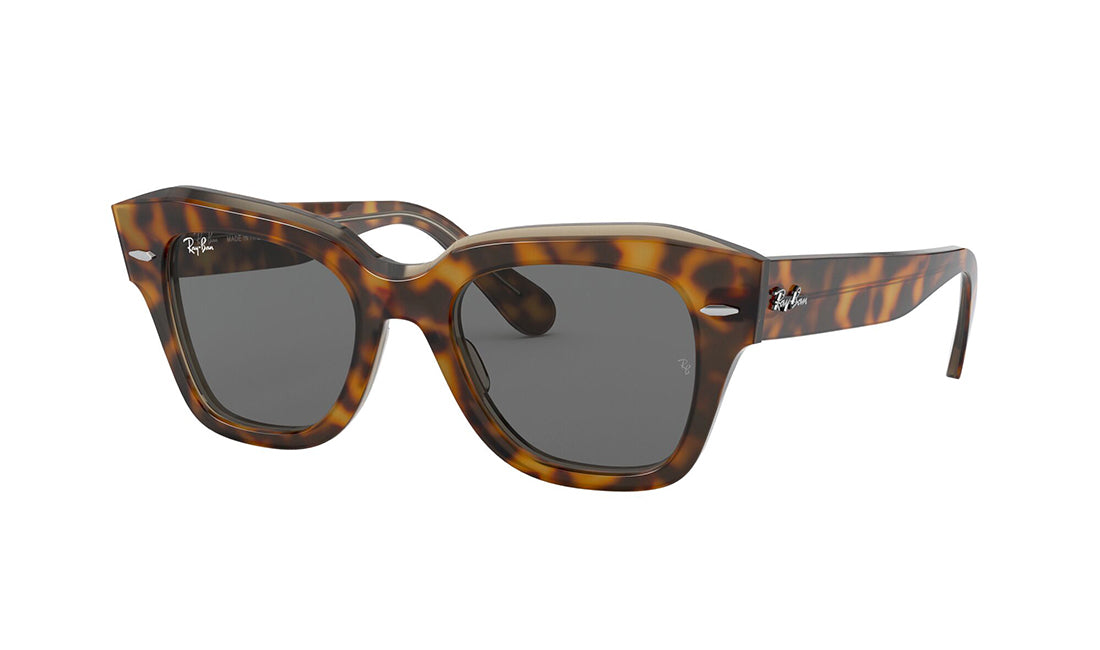 RayBan 2186 Polarized Aviator Sunglasses - UV Protection, Classic Metal Frame for Men & Women - Perfect for Driving, Travel, and Outdoor Activities