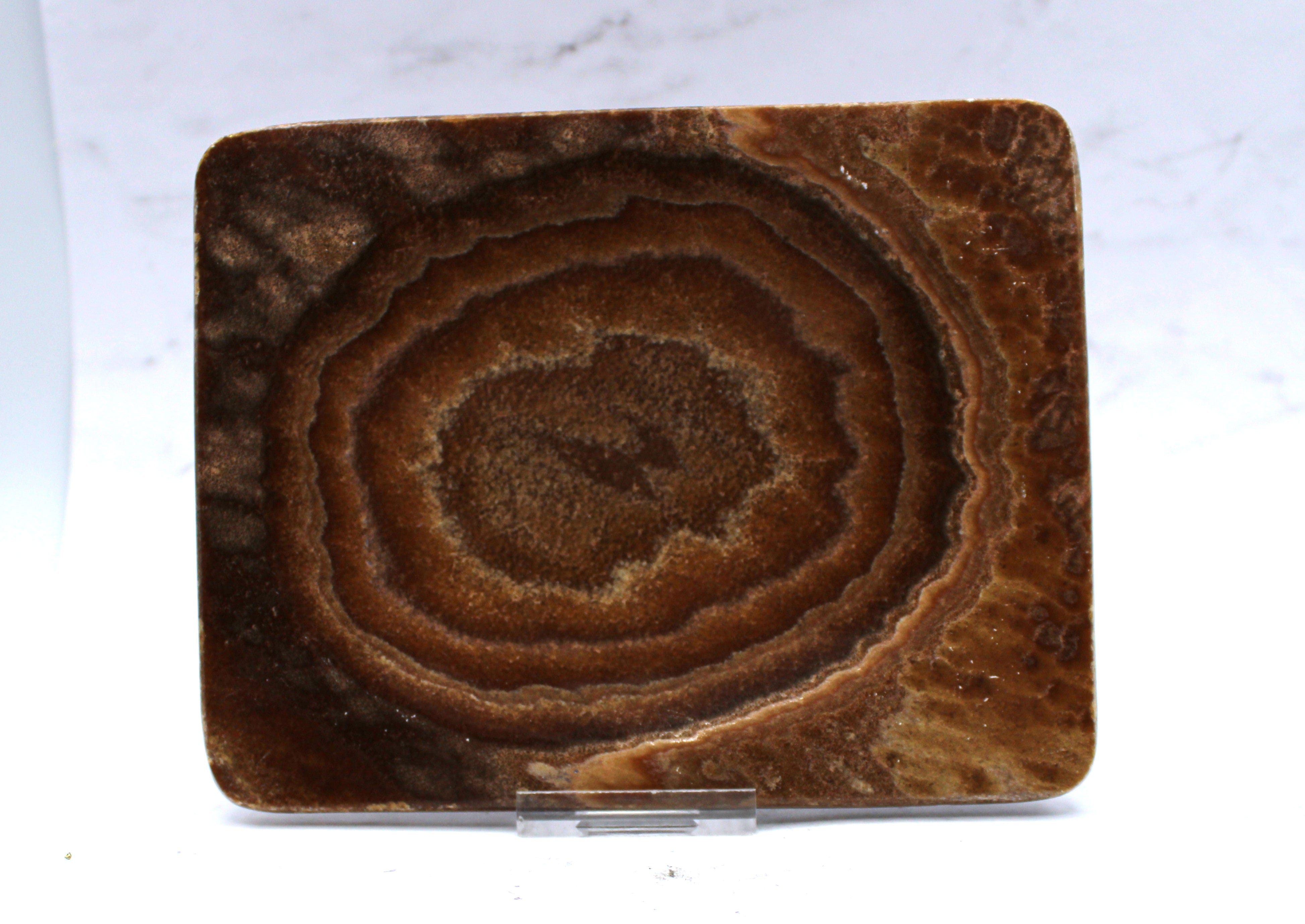 Premium Aragonite Dish 6