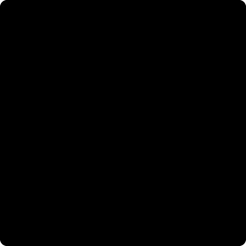 silver coating top,black