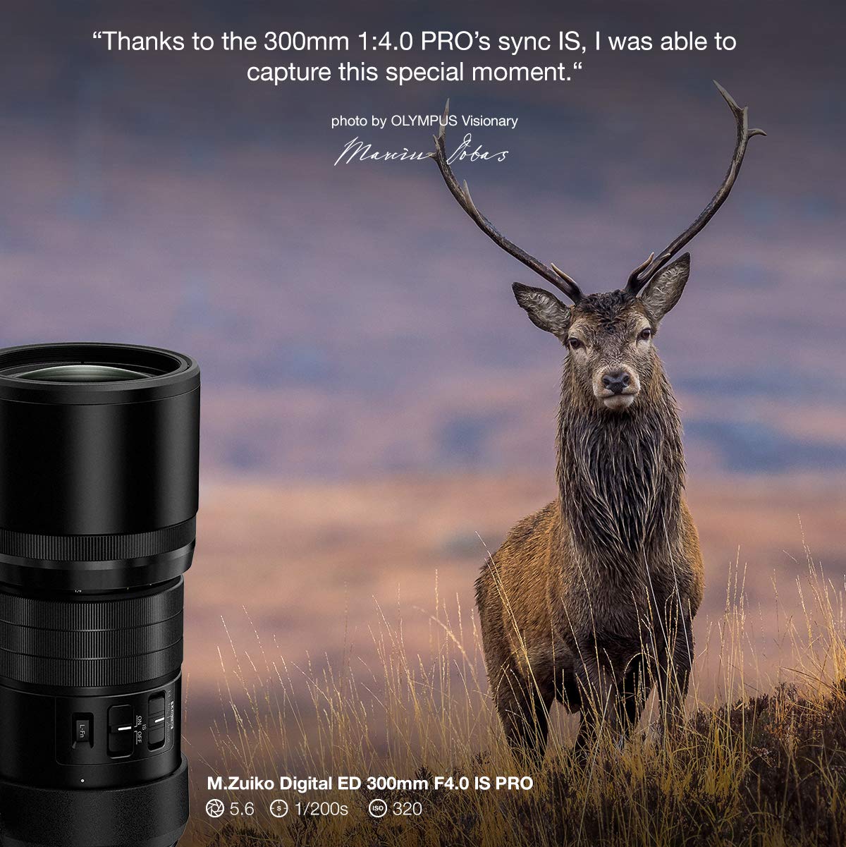 Olympus M.Zuiko Digital ED 300mm F4.0 PRO Lens - Premium Telephoto Zoom Lens for MFT Cameras (OM-D, PEN, Panasonic G Series) - Black | Perfect for Wildlife Photography, Sports & Long-Distance Shooting
