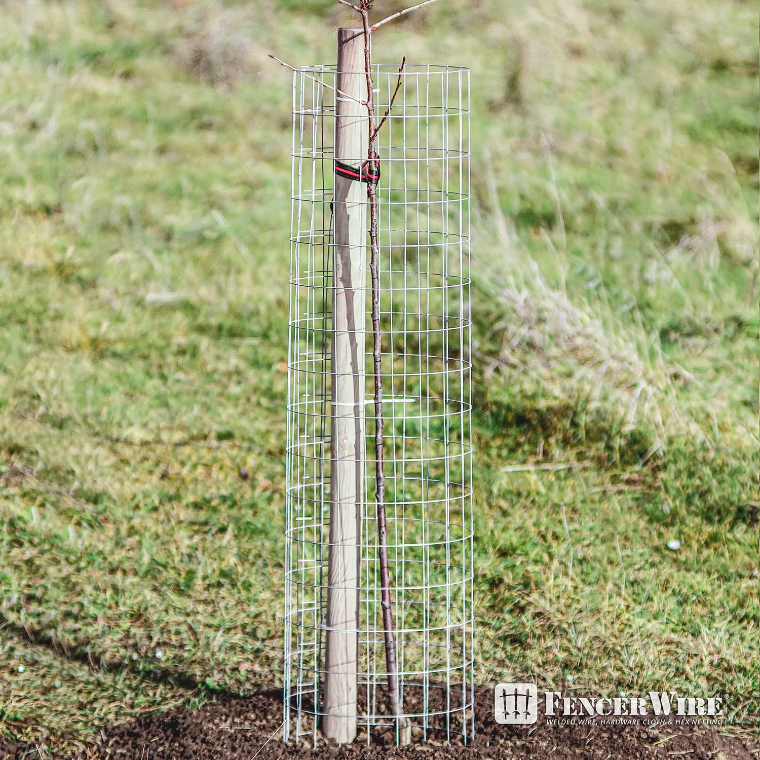 14 Gauge Galvanized Welded Wire Mesh Fencing - 2