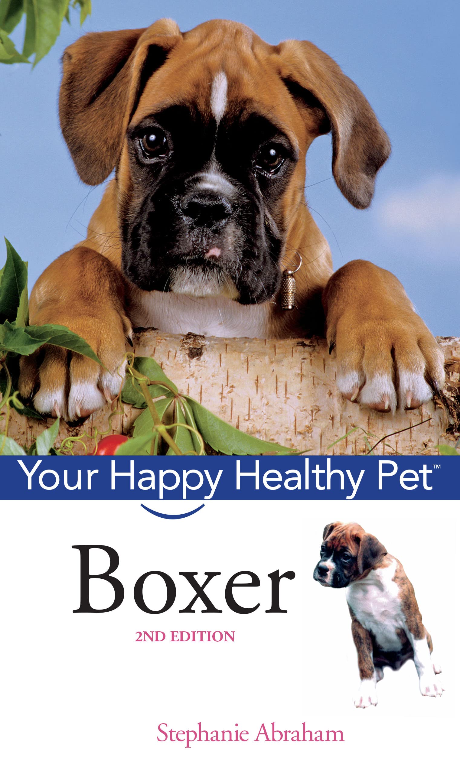 Happy Healthy Pet Boxer - Perfect for Active Families & Dog Lovers