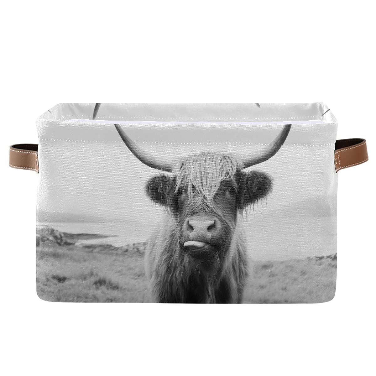 Foldable Rectangular Storage Bin with Handles - Scottish Cow Pattern Collapsible Organizer Basket for Kids Toys, Nursery, Closet & Shelf Storage | Perfect for Home Organization & Playroom Decor