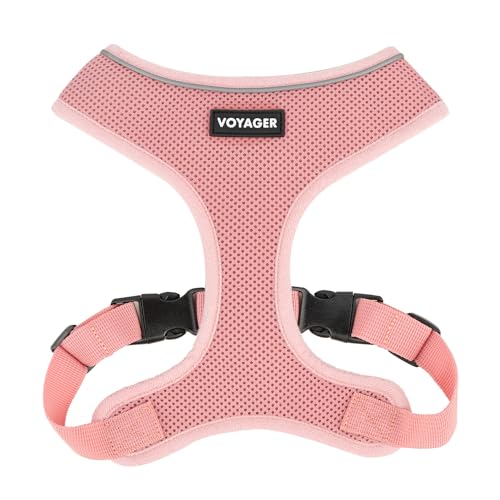 220 Style (Pink)