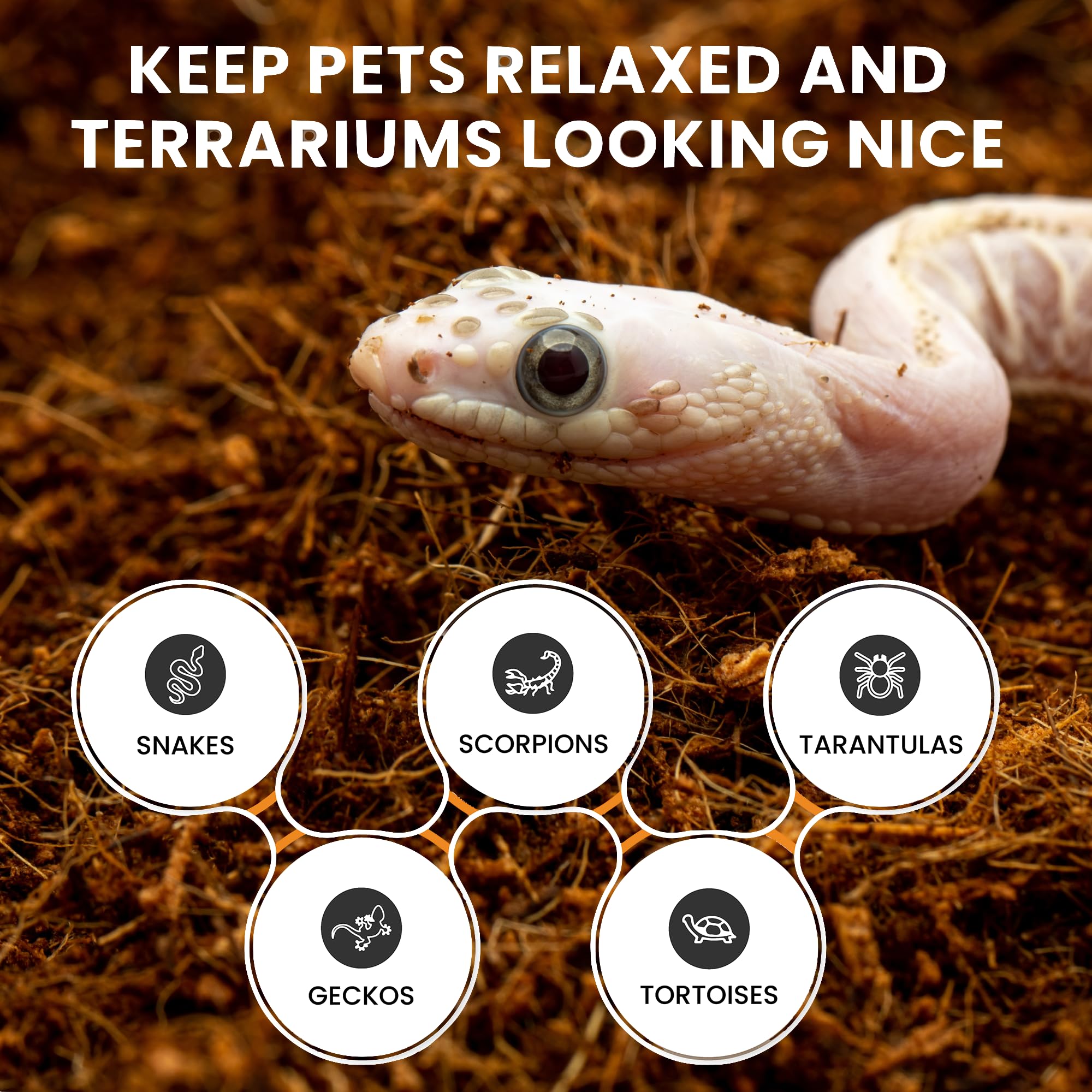 Organic ReptiEarth Coconut Fiber Substrate - 36 Quart Ready-to-Use Reptile Bedding for Bioactive Terrariums | Ideal for Snake Habitats, Lizard Tanks with Live Plants, Frogs, Tarantulas & Hermit Crabs (4 Pack) | Perfect for Naturalistic Enclosures & Moisture Retention