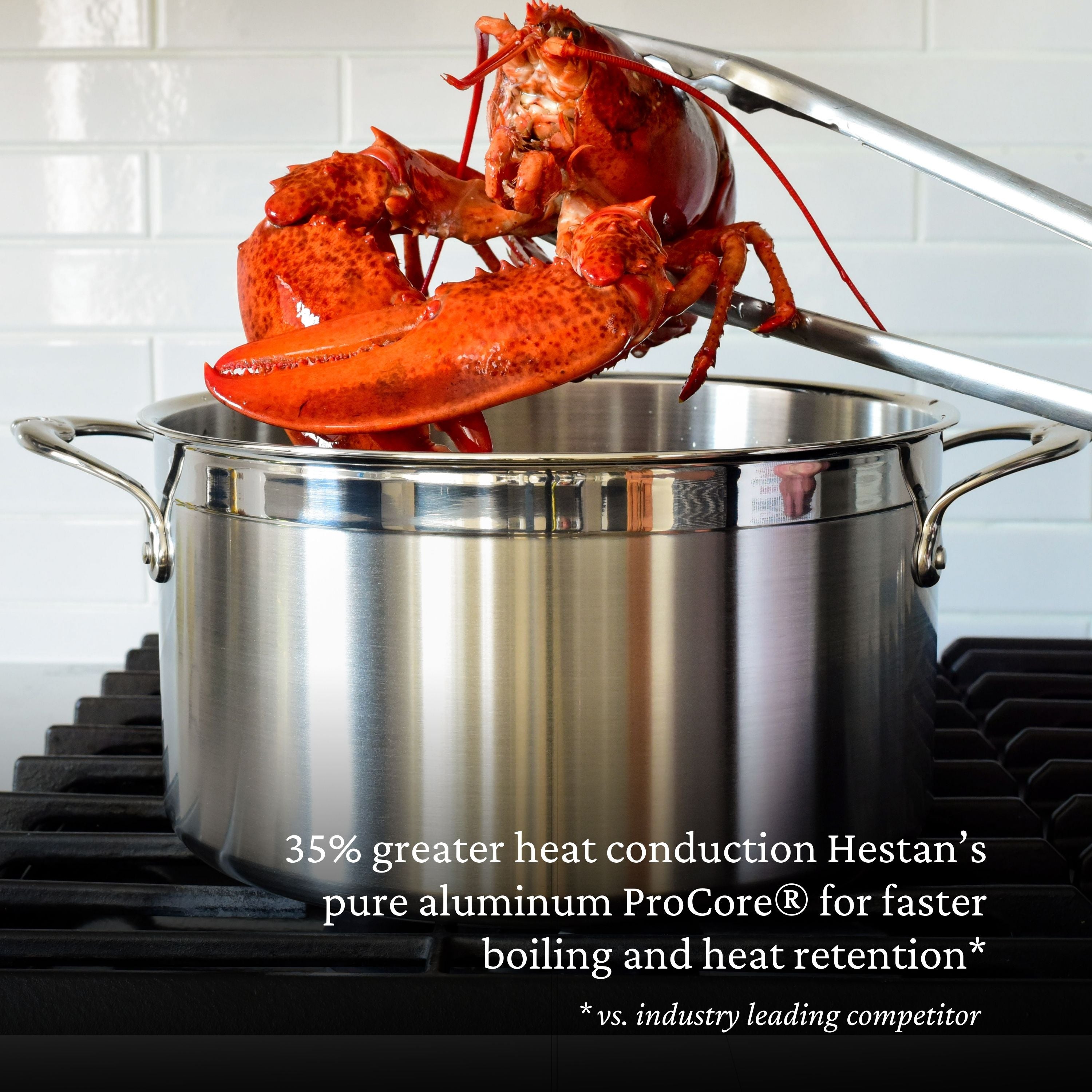 Hestan Probond Covered Stockpot 8.0 Quart (26cm) - Premium Stainless Steel Cookware for Soups, Stews & Pasta - Perfect for Home Chefs & Professional Kitchens